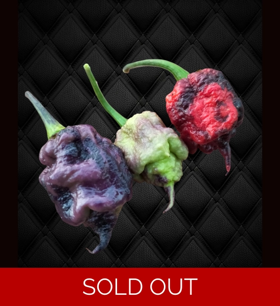 Purple Death FP Red  (10+seeds)